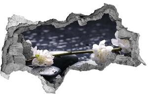 Samolepiaca nálepka fototapeta Čerešňový kvet