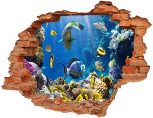 Diera 3D v stene na stenu Koralový útes nd-c-36026012