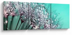 Obraz - orosená rastlina (s hodinami) (90x30 cm)