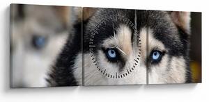 Obraz psa husky (s hodinami) (90x30 cm)