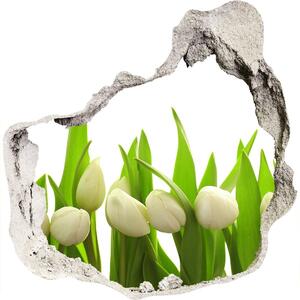 Samolepiaca diera na stenu Biele tulipány nd-p-40774643