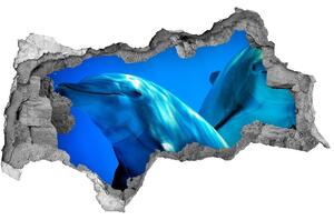 Diera 3D fototapeta nástenná Dva delfíny nd-b-16277956