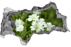 Samolepiaca nálepka na stenu Jarné kvety nd-b-112767766