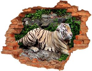 Fototapeta diera na stenu Tiger na skale nd-c-118161704