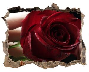 Fotoobraz díra na stěnu Žena s ruží nd-k-6668624