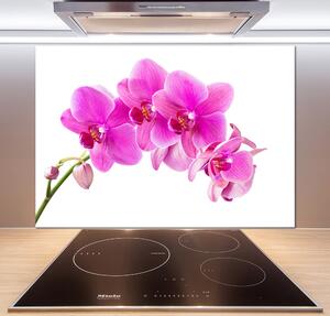 Panel do kuchyne Ružová orchidea pl-pksh-100x70-f-67673367