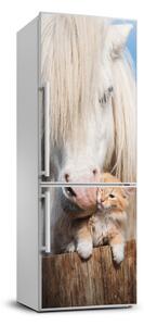Foto nálepka na chladničku Biely kôň s mačkou