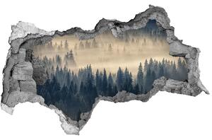 Diera 3D v stene nálepka Hmla nad lesom nd-b-134224571
