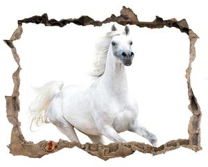 Fototapeta díra na zeď Biela arabský kôň nd-k-99028092