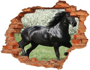 Foto fotografie diera na stenu Čierny kôň kvety