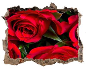 Samolepící díra nálepka Červené ruže nd-k-76865971