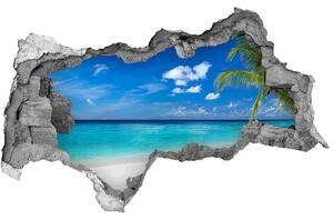 Diera 3D v stene nálepka Tropické pláže nd-b-158283371
