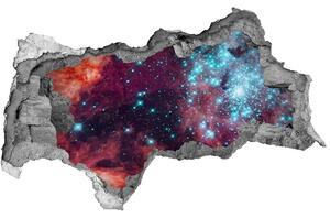 Foto fotografie diera na stenu Magellanov mračno