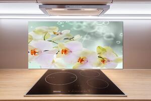 Panel do kuchyne Biela orchidea pl-pksh-100x50-f-91133337