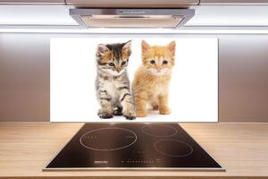 Panel do kuchyne Hnedá a červená mačka