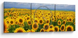 Obraz slnečnicového poľa (s hodinami) (90x30 cm)