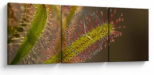 Obraz rastliny (s hodinami) (90x30 cm)