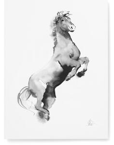 Teemu Järvi Plagát Horse 30x40