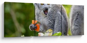 Obraz lemura (s hodinami) (90x30 cm)