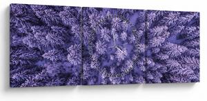 Obraz zasnežených stromov (s hodinami) (90x30 cm)