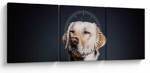 Obraz labradora (s hodinami) (90x30 cm)