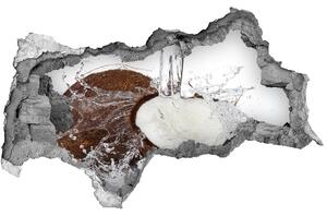 Nálepka 3D diera Kokosový orech nd-b-38010850