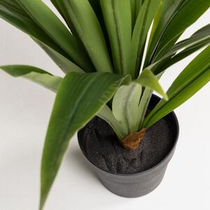 Umelá rastlina (výška 80 cm) Yucca – Kave Home