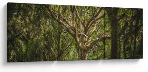 Obraz stromov (s hodinami) (90x30 cm)