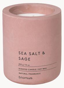 Vonná sviečka Fraga (Sea Salt & Sage)
