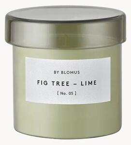 Vonná sviečka Valoa (Cedarwood, Fig Tree & Lime)