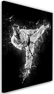 Obraz na plátne Karate - Cornel Vlad Rozmery: 40 x 60 cm