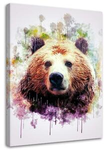 Obraz na plátne Farebná hlava medveďa - Cornel Vlad Rozmery: 40 x 60 cm