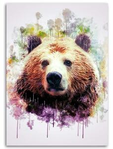Obraz na plátne Farebná hlava medveďa - Cornel Vlad Rozmery: 40 x 60 cm