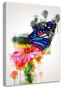 Obraz na plátne Motýľ na kvete - Cornel Vlad Rozmery: 40 x 60 cm