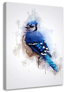 Obraz na plátne Modrý vrabec - Cornel Vlad Rozmery: 40 x 60 cm