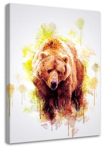 Obraz na plátne Medveď - Cornel Vlad Rozmery: 40 x 60 cm