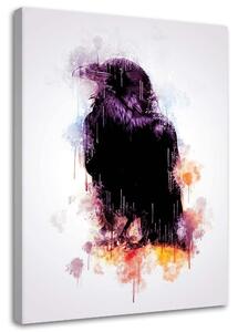 Obraz na plátne Čierna vrana - Cornel Vlad Rozmery: 40 x 60 cm