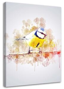 Obraz na plátne Vták na konári - Cornel Vlad Rozmery: 40 x 60 cm