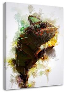 Obraz na plátne Chameleón - Cornel Vlad Rozmery: 40 x 60 cm