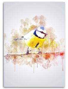 Obraz na plátne Vták na konári - Cornel Vlad Rozmery: 40 x 60 cm
