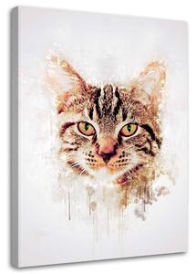 Obraz na plátne Hlava mačky - Cornel Vlad Rozmery: 40 x 60 cm