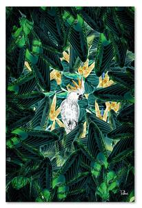 Obraz na plátne Diamantový papagáj v listoch - Rubiant Rozmery: 40 x 60 cm