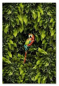 Obraz na plátne Papagáj v listoch - Rubiant Rozmery: 40 x 60 cm