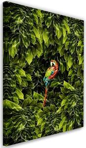 Obraz na plátne Papagáj v listoch - Rubiant Rozmery: 40 x 60 cm