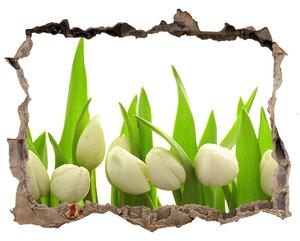 Samolepící nálepka na zeď Biele tulipány nd-k-40774643