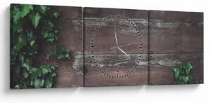 Obraz - Brečtan (s hodinami) (90x30 cm)