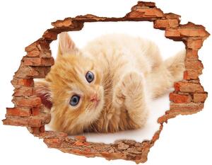 Diera 3D v stene nálepka Red cat nd-c-126034635