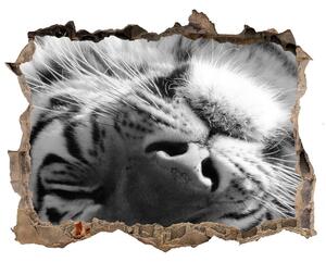 Díra 3D fototapeta nálepka Spiace tiger nd-k-125000206