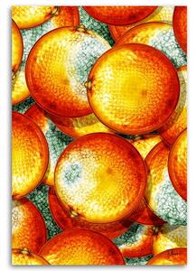 Obraz na plátne Pomaranče - Rubiant Rozmery: 40 x 60 cm