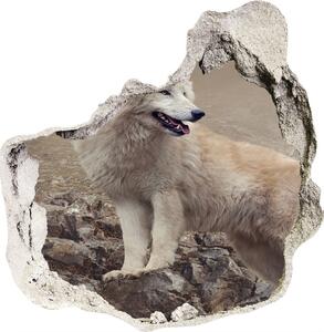 Diera 3D foto tapeta nálepka Biely vlk na skale